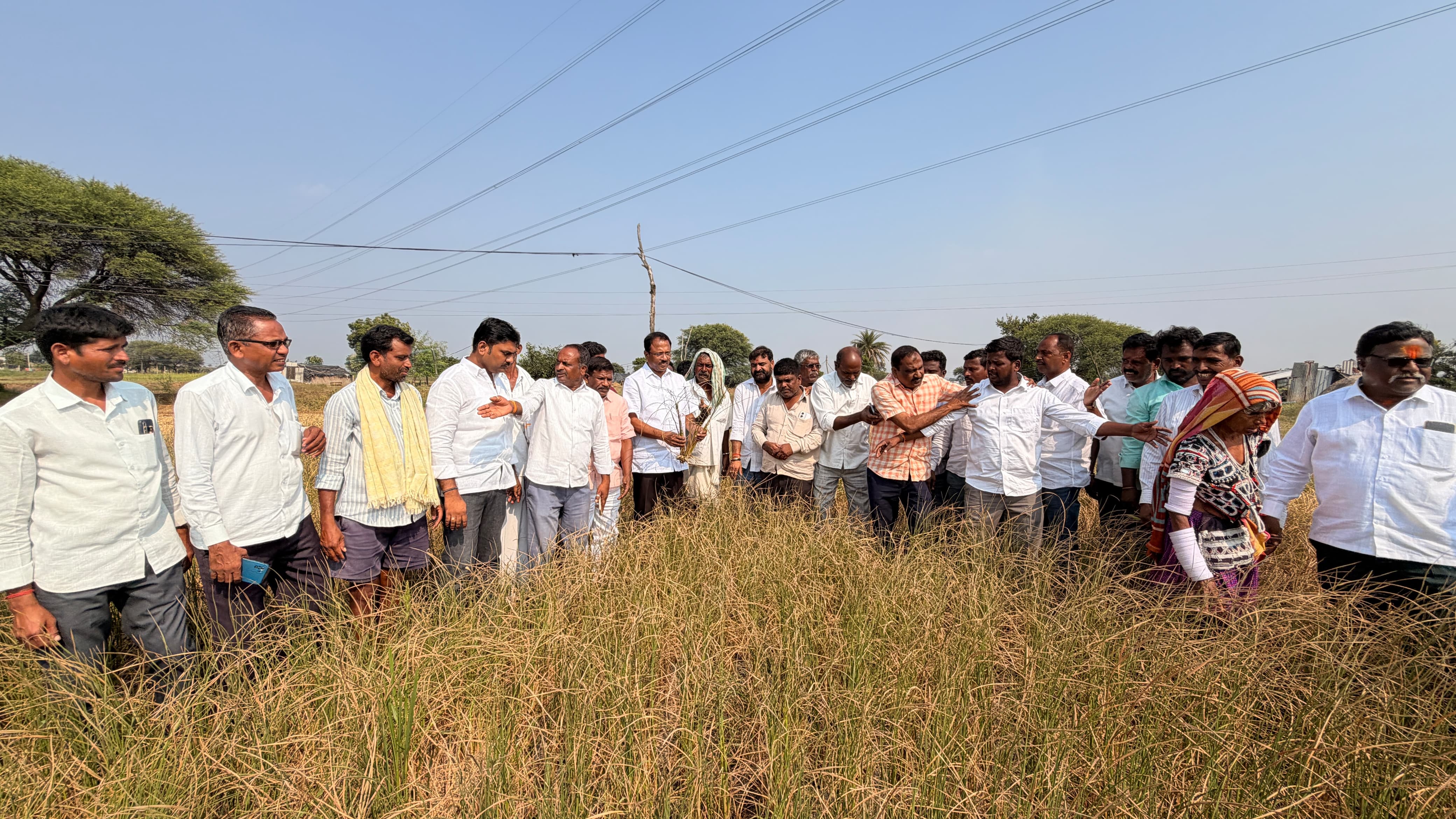 News Image 2